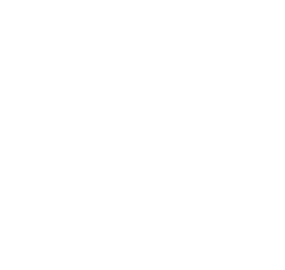 Remmy's Home Services